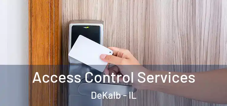 Access Control Services DeKalb - IL