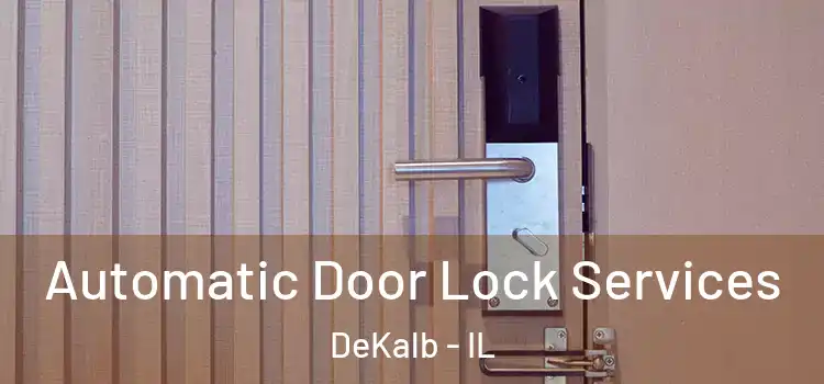 Automatic Door Lock Services DeKalb - IL