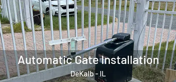 Automatic Gate Installation DeKalb - IL