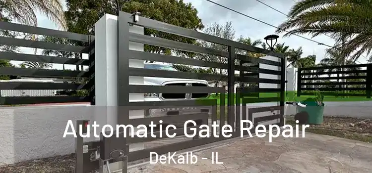 Automatic Gate Repair DeKalb - IL