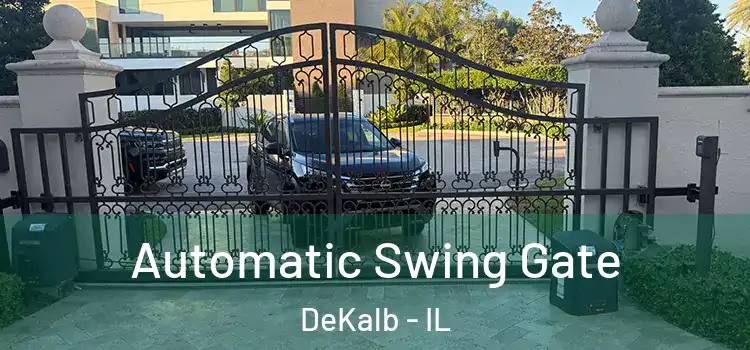 Automatic Swing Gate DeKalb - IL