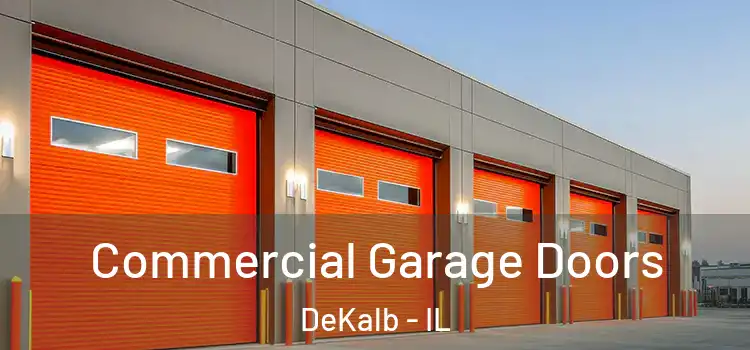  Commercial Garage Doors DeKalb - IL