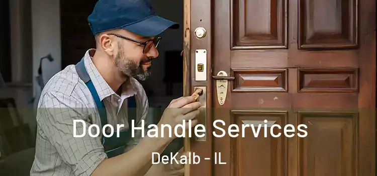 Door Handle Services DeKalb - IL