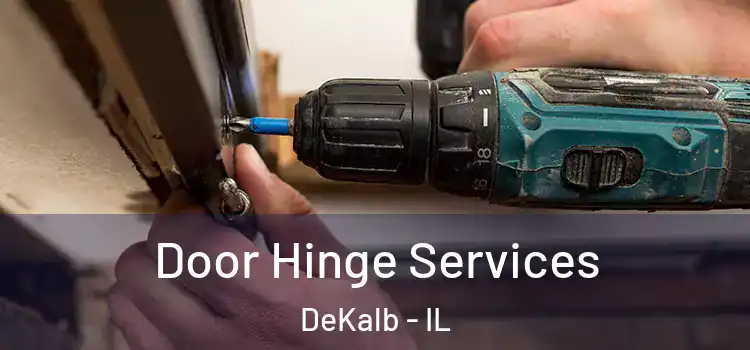 Door Hinge Services DeKalb - IL