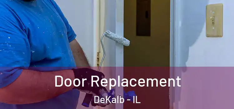 Door Replacement DeKalb - IL