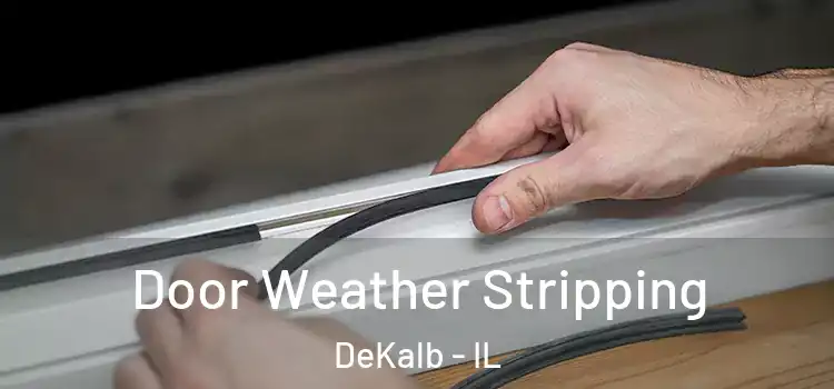 Door Weather Stripping DeKalb - IL