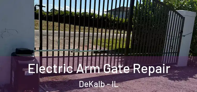 Electric Arm Gate Repair DeKalb - IL