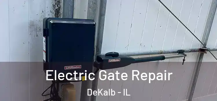 Electric Gate Repair DeKalb - IL