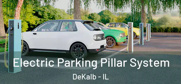 Electric Parking Pillar System DeKalb - IL