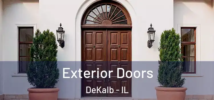 Exterior Doors DeKalb - IL