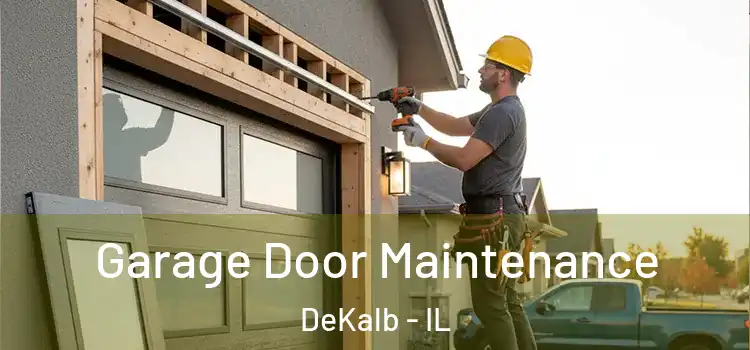 Garage Door Maintenance DeKalb - IL