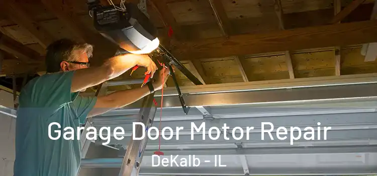  Garage Door Motor Repair DeKalb - IL