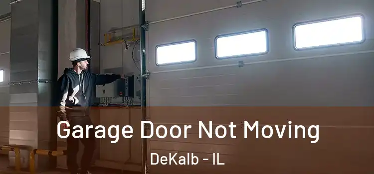  Garage Door Not Moving DeKalb - IL