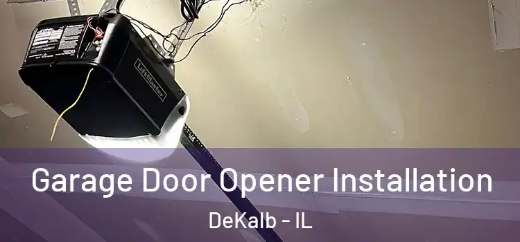  Garage Door Opener Installation DeKalb - IL