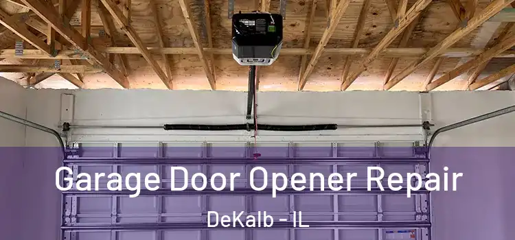  Garage Door Opener Repair DeKalb - IL