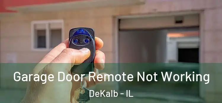  Garage Door Remote Not Working DeKalb - IL