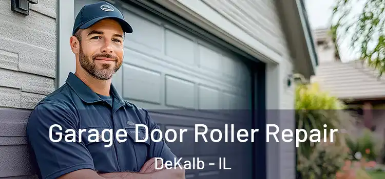  Garage Door Roller Repair DeKalb - IL