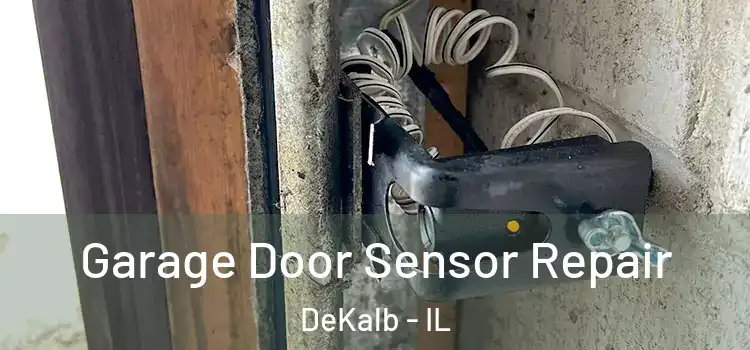 Garage Door Sensor Repair DeKalb - IL