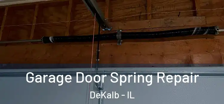  Garage Door Spring Repair DeKalb - IL