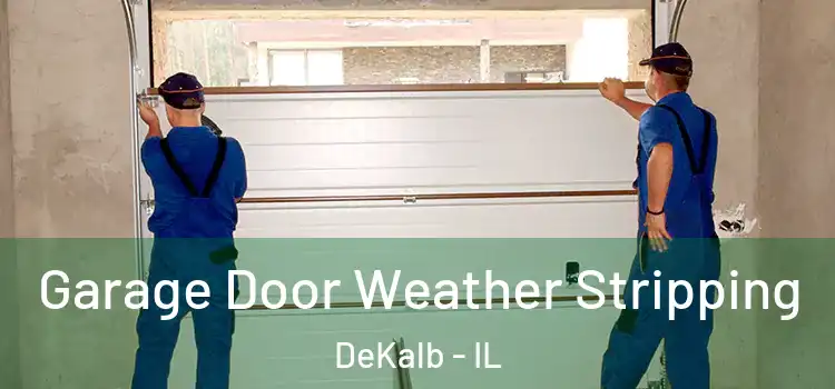  Garage Door Weather Stripping DeKalb - IL