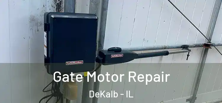 Gate Motor Repair DeKalb - IL