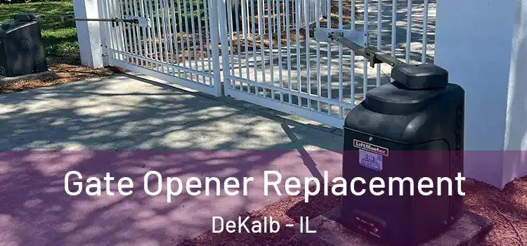 Gate Opener Replacement DeKalb - IL