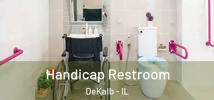Handicap Restroom DeKalb - IL