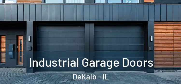  Industrial Garage Doors DeKalb - IL