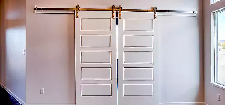 Glass Barn Door with Installation Hardware Kit DeKalb
