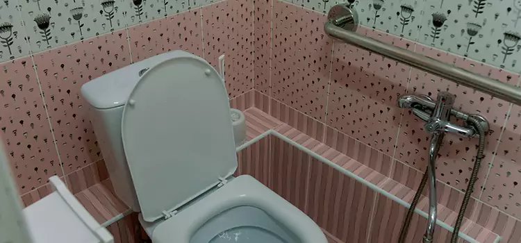 Meeting Diverse Needs With Accessible Restroom Solutions in DeKalb, IL
