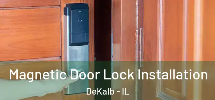  Magnetic Door Lock Installation DeKalb - IL