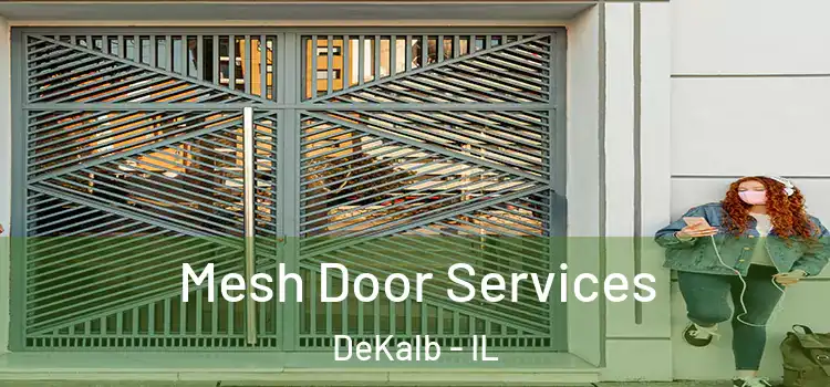 Mesh Door Services DeKalb - IL