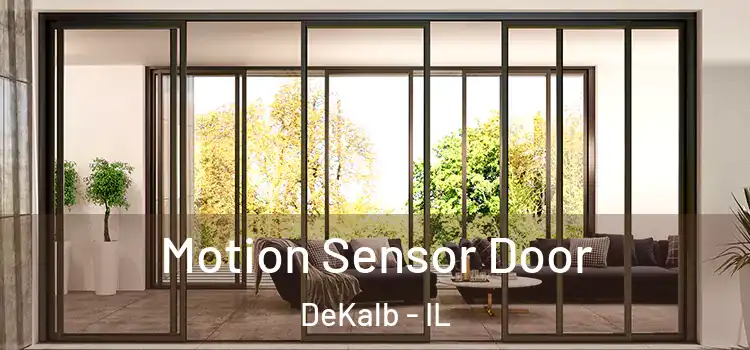 Motion Sensor Door DeKalb - IL