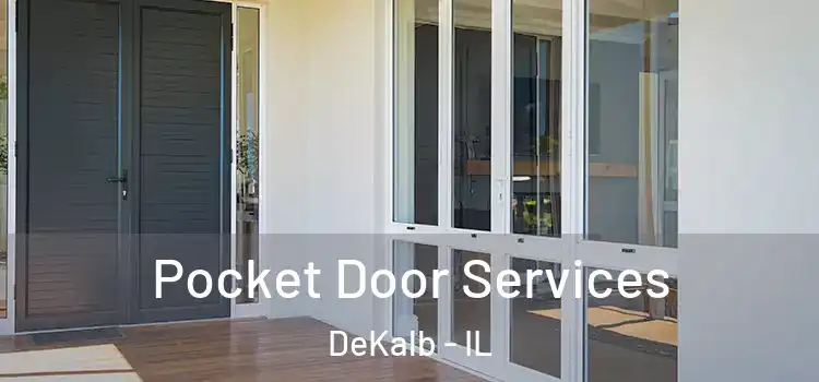 Pocket Door Services DeKalb - IL
