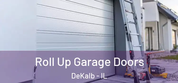  Roll Up Garage Doors DeKalb - IL