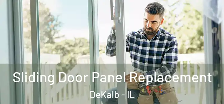  Sliding Door Panel Replacement DeKalb - IL