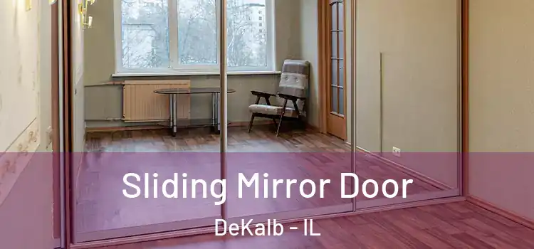  Sliding Mirror Door DeKalb - IL