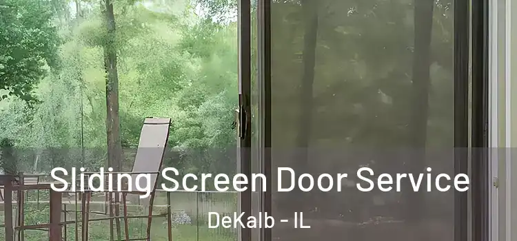 Sliding Screen Door Service DeKalb - IL