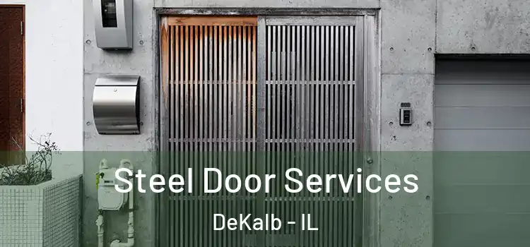 Steel Door Services DeKalb - IL
