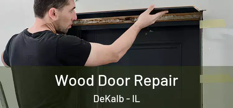 Wood Door Repair DeKalb - IL