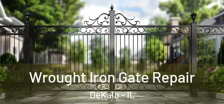  Wrought Iron Gate Repair DeKalb - IL